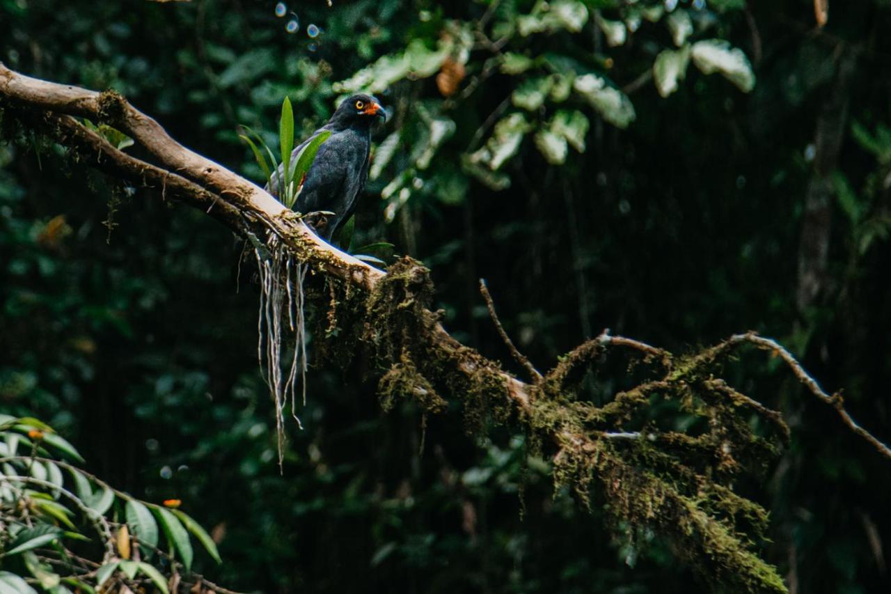 Arahuana Jungle Resort & Spa Tena Eksteriør bilde