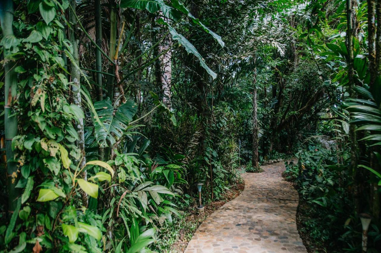 Arahuana Jungle Resort & Spa Tena Eksteriør bilde