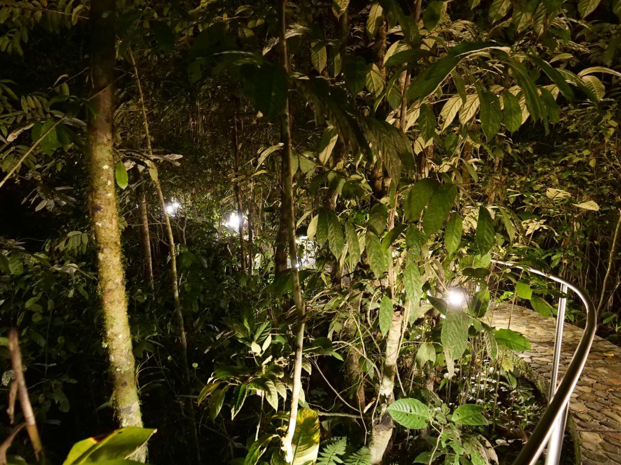 Arahuana Jungle Resort & Spa Tena Eksteriør bilde