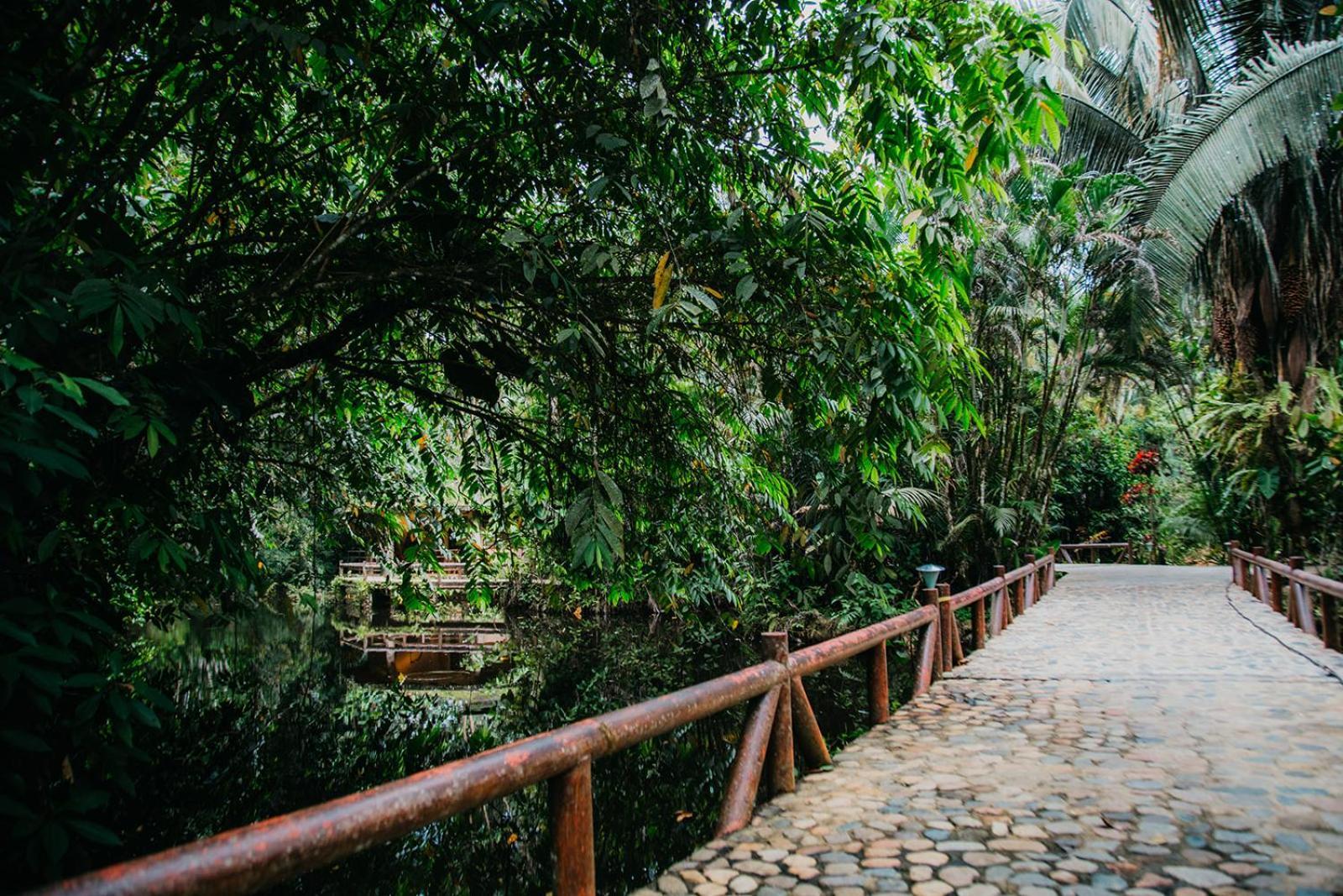Arahuana Jungle Resort & Spa Tena Eksteriør bilde