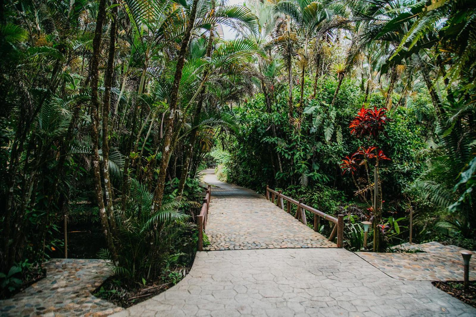 Arahuana Jungle Resort & Spa Tena Eksteriør bilde