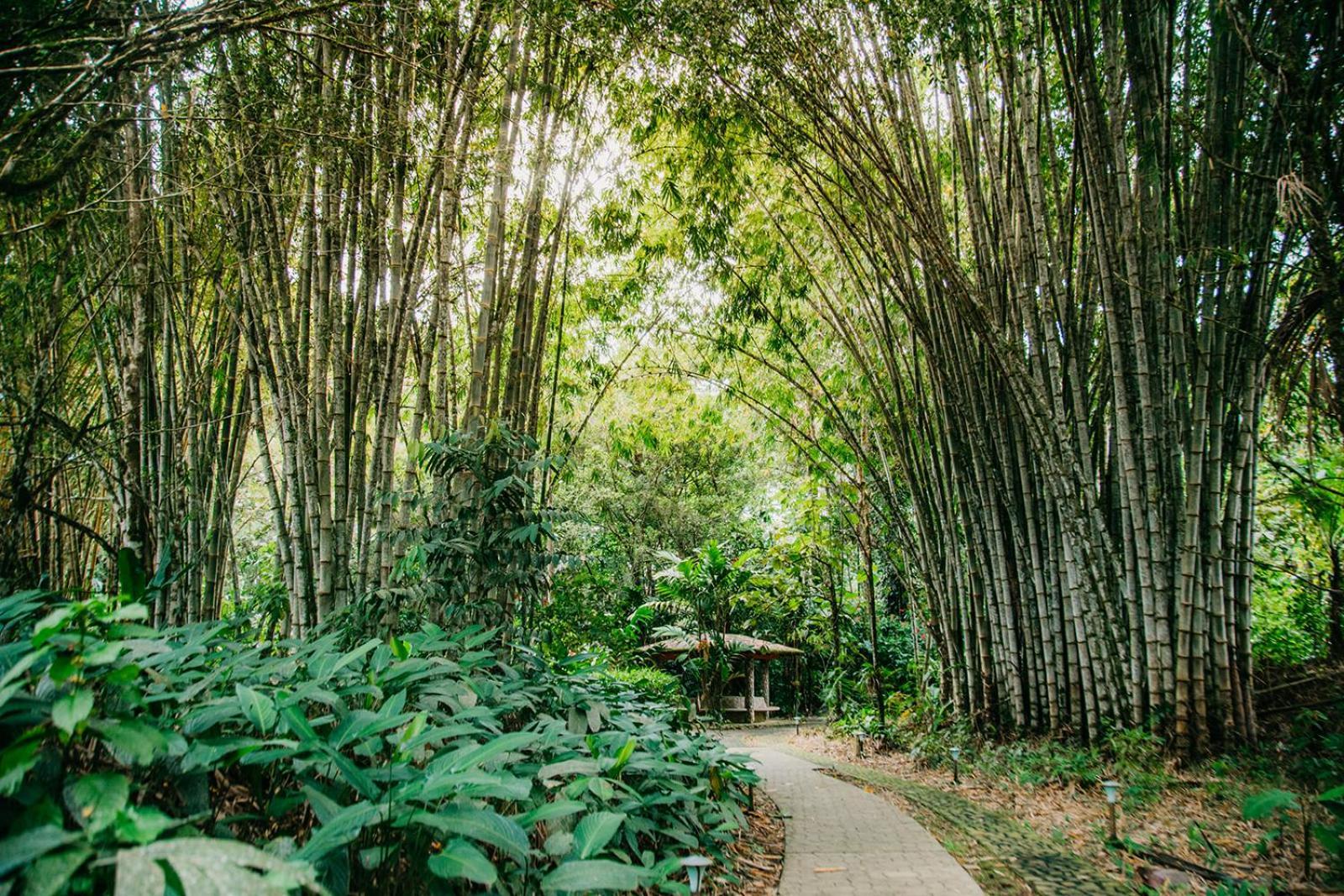 Arahuana Jungle Resort & Spa Tena Eksteriør bilde