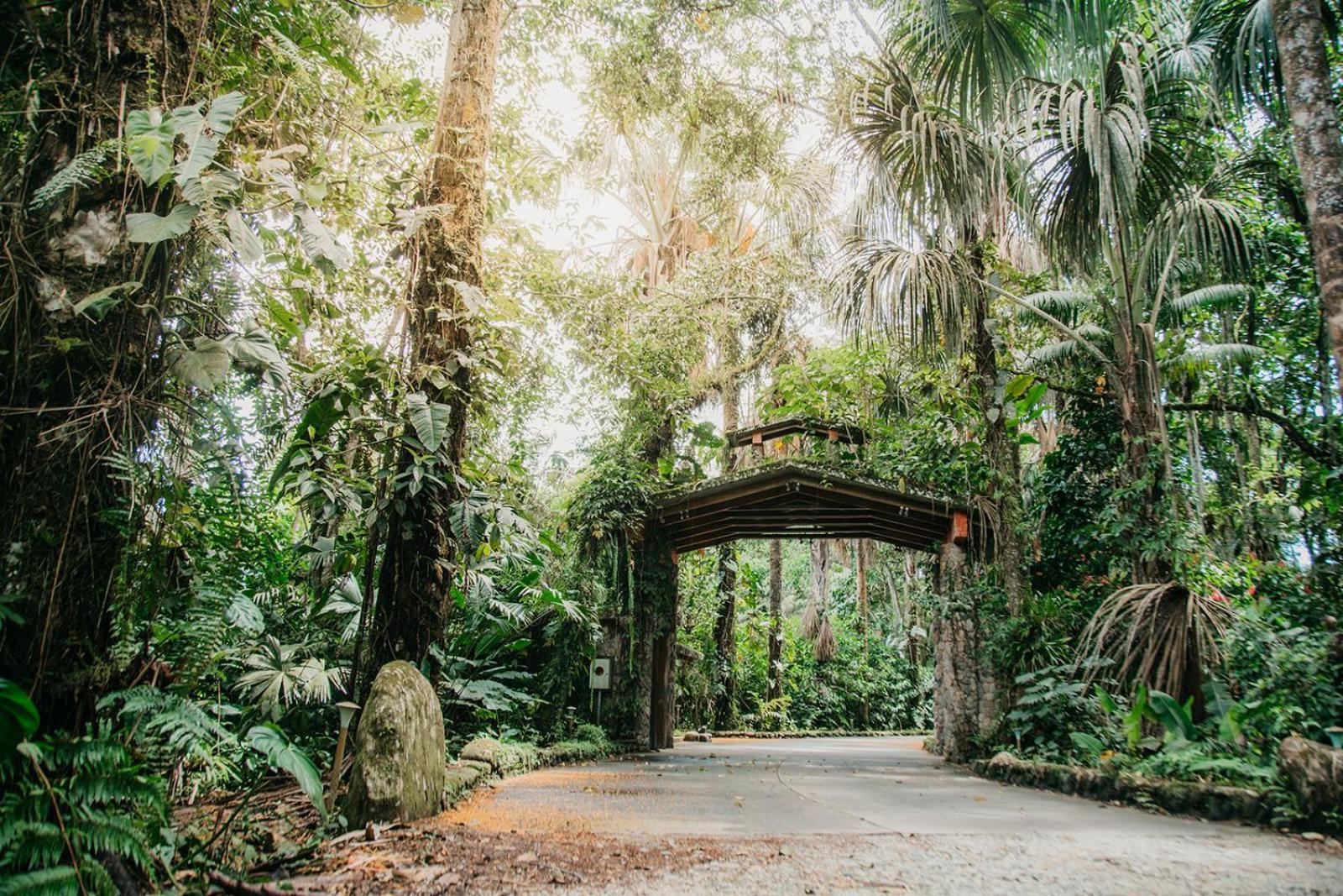 Arahuana Jungle Resort & Spa Tena Eksteriør bilde