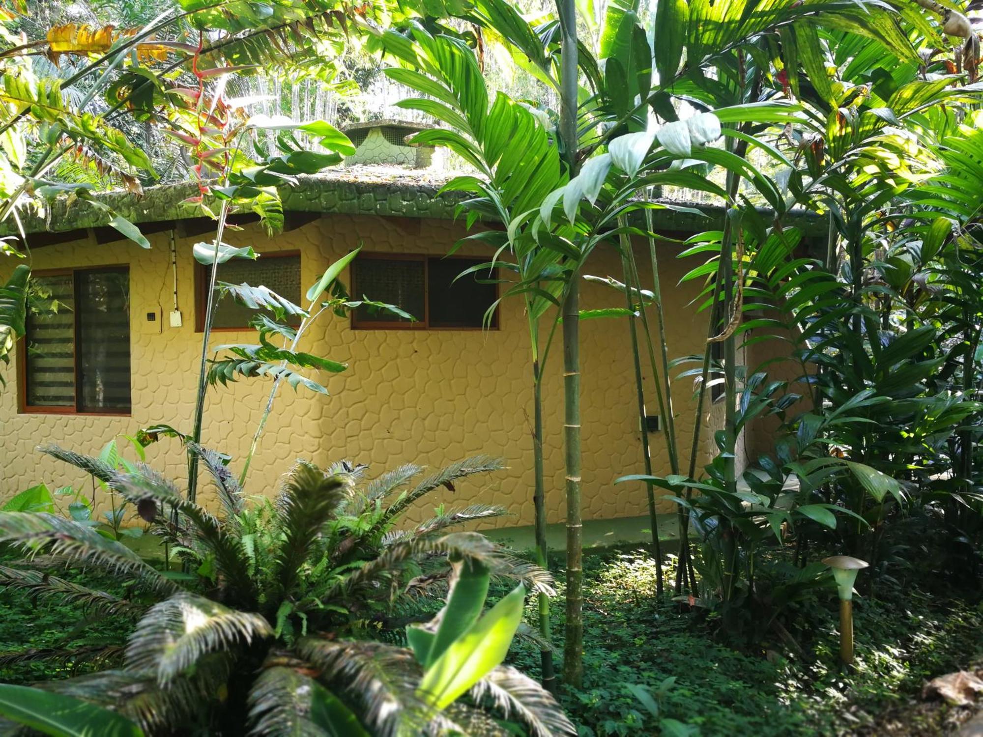 Arahuana Jungle Resort & Spa Tena Eksteriør bilde